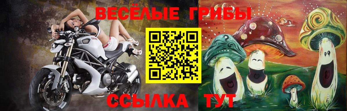 Псилоцибиновые грибы MAGIC MUSHROOMS  Вход с VPN  Стрежевой  Псилоцибиновые грибы ЛСД 
