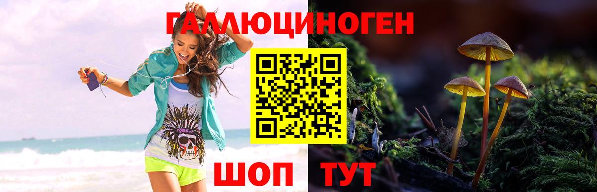Галлюциногенные грибы Psilocybine cubensis Стрежевой